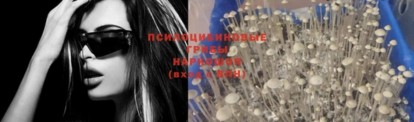 стафф Балабаново