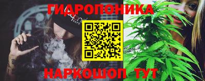 шишки Апшеронск