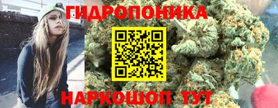 шишки Апшеронск