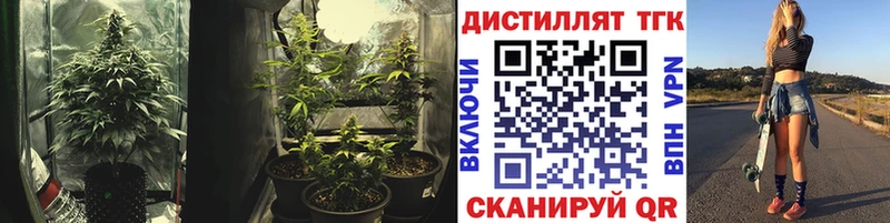 Дистиллят ТГК концентрат  Воскресенск 