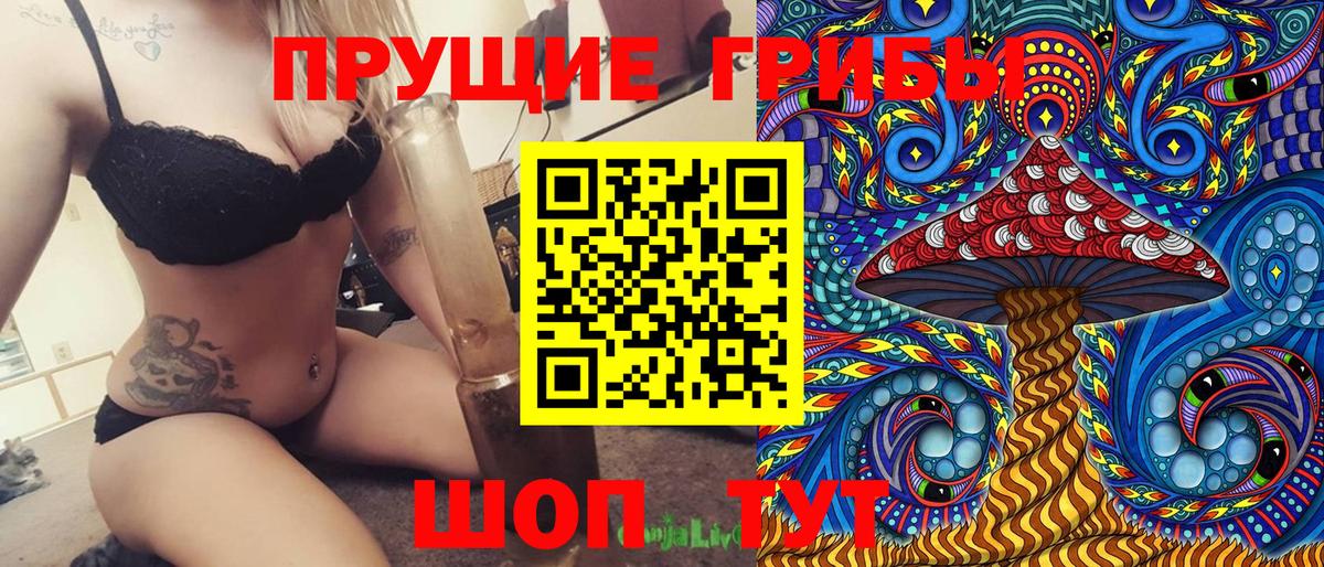 Псилоцибиновые грибы прущие грибы  Воскресенск  Псилоцибиновые грибы мицелий 