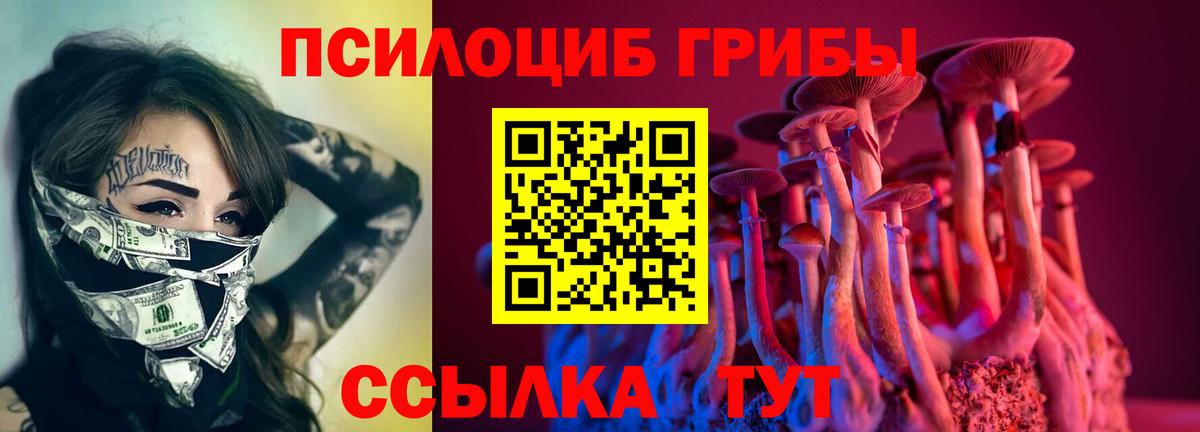 Галлюциногенные грибы мухоморы  как найти закладки  Воскресенск  Вход с VPN  Галлюциногенные грибы Psilocybe 